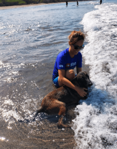 A heartwarming moment unfolds at Beach Camp as a customer wraps their arms around Mamot, the Belgian Malinois mascot, in a tender embrace. Positioned against the backdrop of the setting sun, which paints the sky in hues of orange and pink, the duo shares a bond that transcends the ordinary. Mamot, with his gentle eyes and calm demeanor, leans into the hug, his tail wagging slowly in contentment. The customer, with a smile of pure joy, seems to find comfort and happiness in the warmth of Mamot's furry coat. This scene encapsulates the essence of companionship and the special memories guests can create with Mamot at Beach Camp, against the picturesque landscape of La Union's coastline, where every sunset brings together friends, both human and canine, in moments of pure bliss.