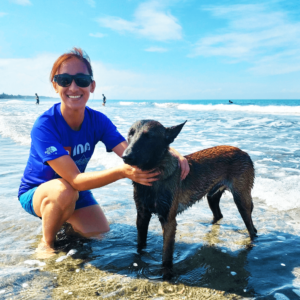 A customer is seen enjoying a serene moment at Beach Camp, accompanied by Mamot, the Belgian Malinois mascot. They're sitting on a wooden bench under the shade of lush palm trees, overlooking the golden sands and crystal-clear waters of La Union's coastline. Mamot, with his alert ears and attentive gaze, sits closely beside the customer, embodying loyalty and friendship. The warm sunlight filters through the leaves, casting a soft glow on the scene. In the background, other guests can be seen lounging and playing, but Mamot remains focused on his companion, symbolizing the welcoming and protective spirit of Beach Camp. This image captures a perfect blend of relaxation, natural beauty, and the unique bond between humans and their canine friends at this idyllic beachside retreat.